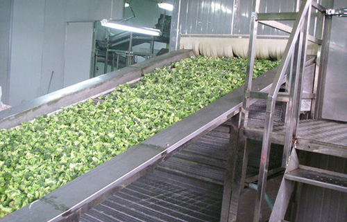 隧道沖擊式網帶速凍設備速凍機